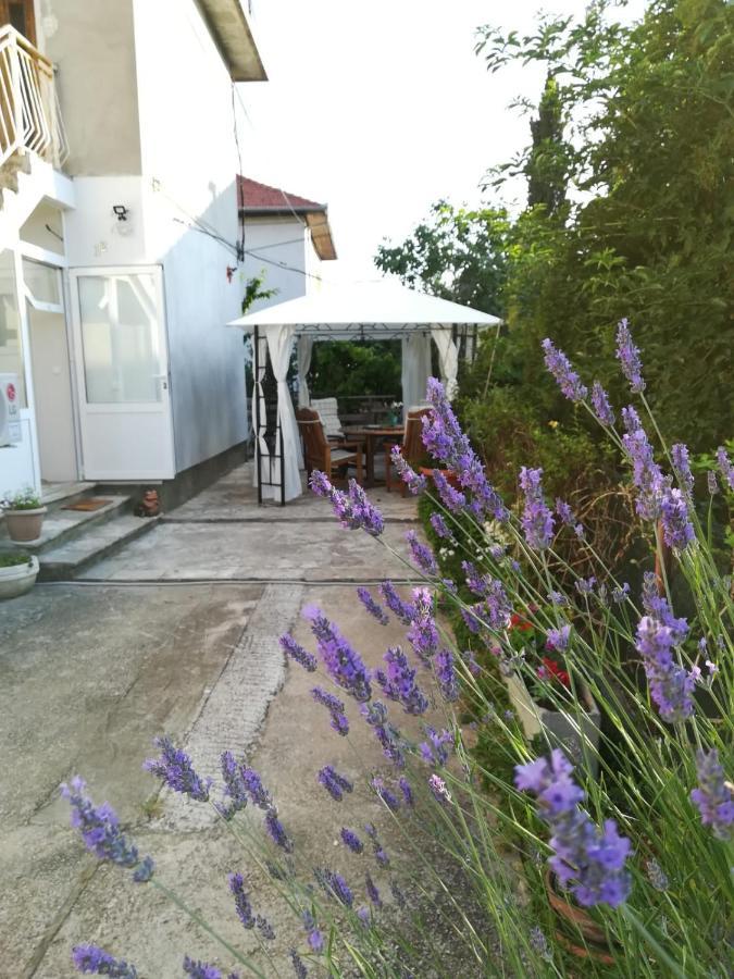 Lili Apartment In Zadar Pet Friendly, Free Parking Ngoại thất bức ảnh
